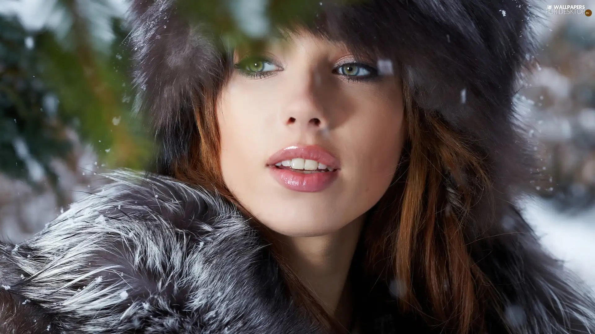 collar, winter, fur, Hat, Women