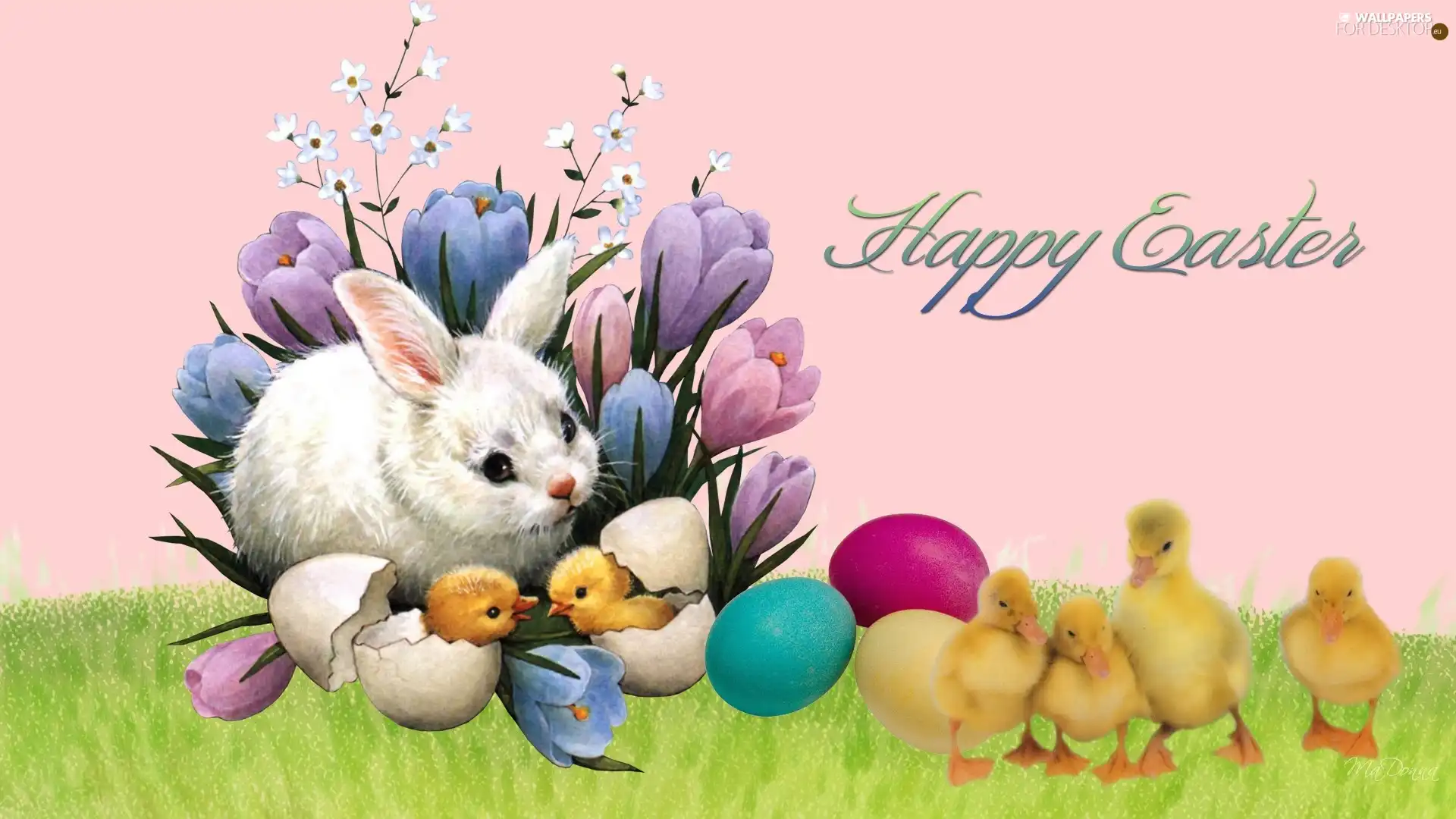 color, eggs, color, Flowers, Easter