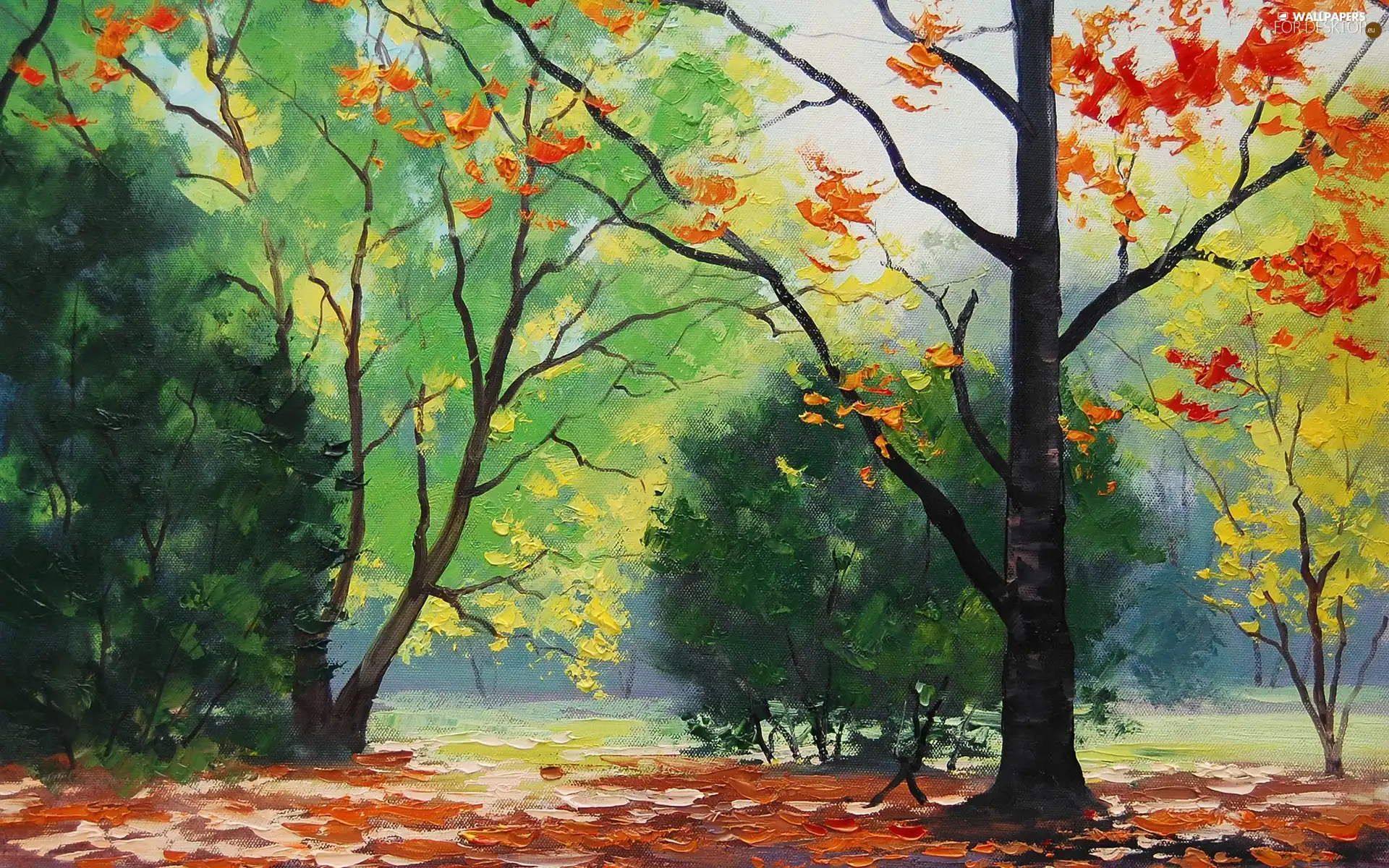 color, Leaf, viewes, green, trees