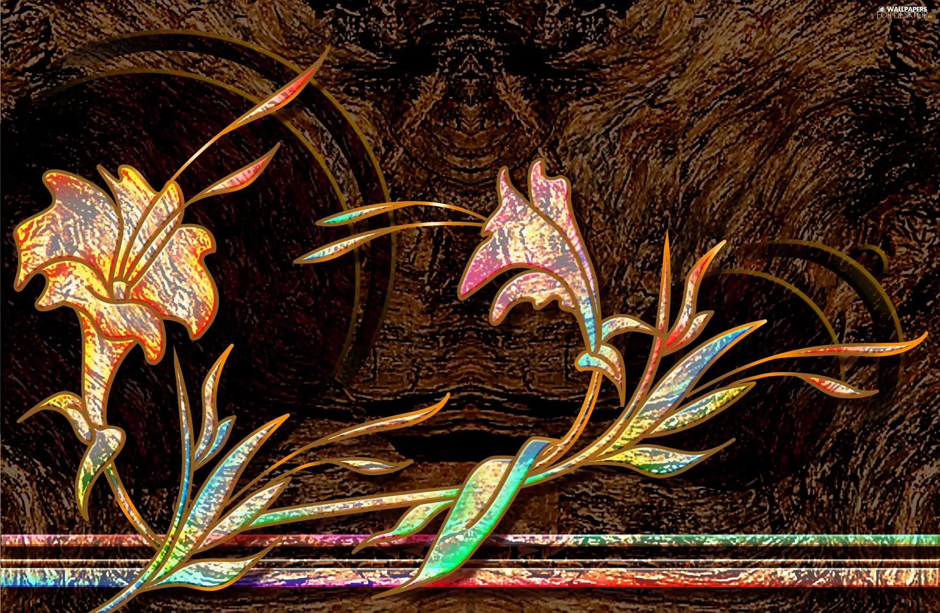 Flowers, Two cars, color