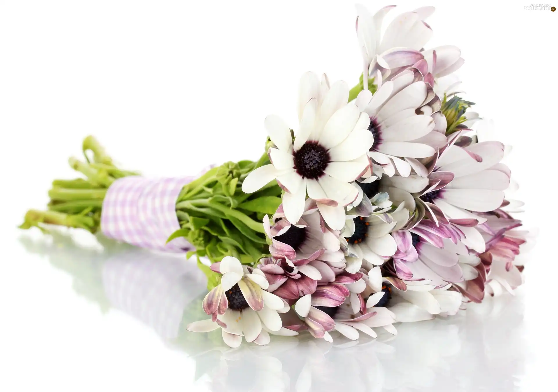 bouquet, fine, colors, flowers