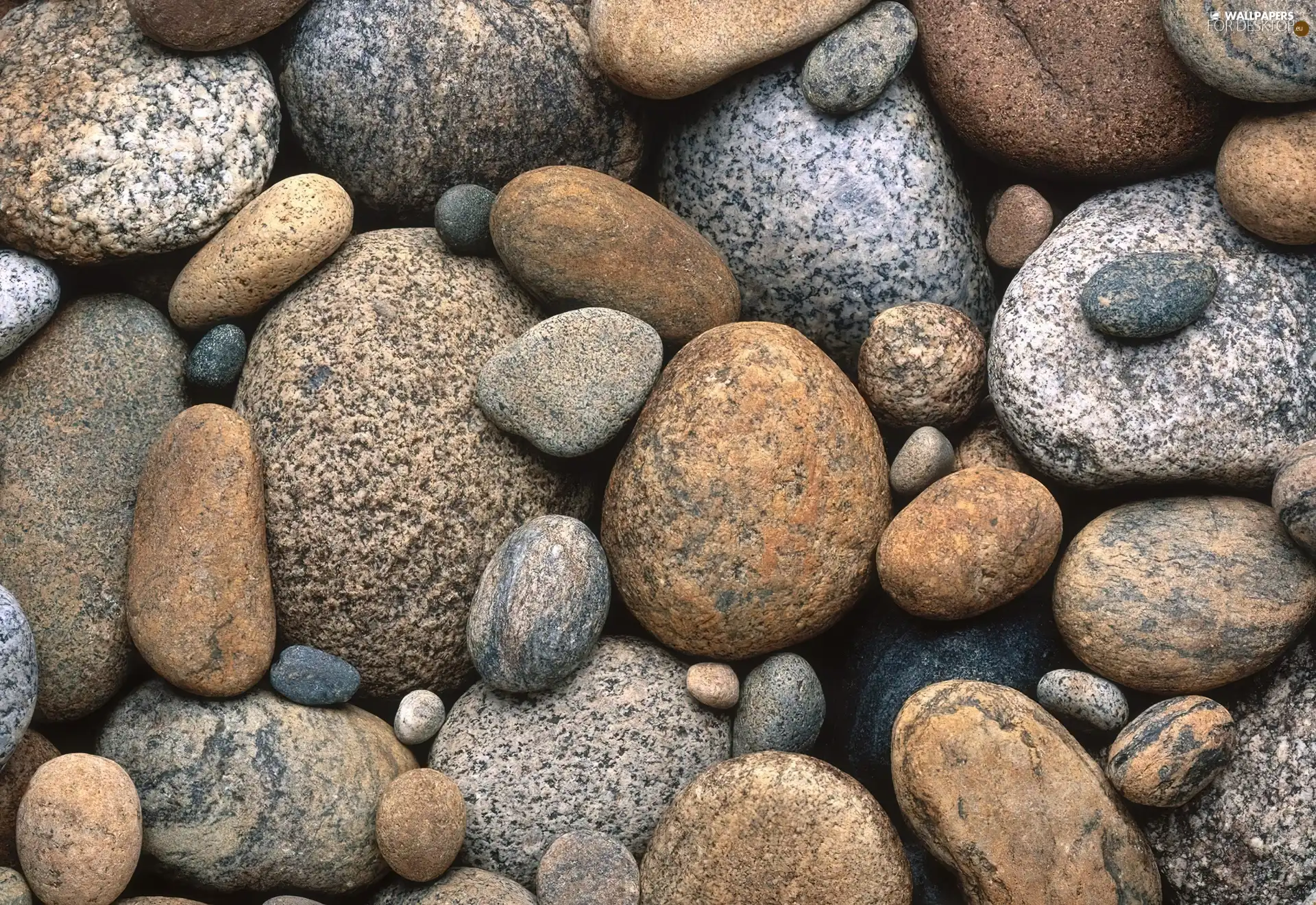 Stones, shape, colors, different