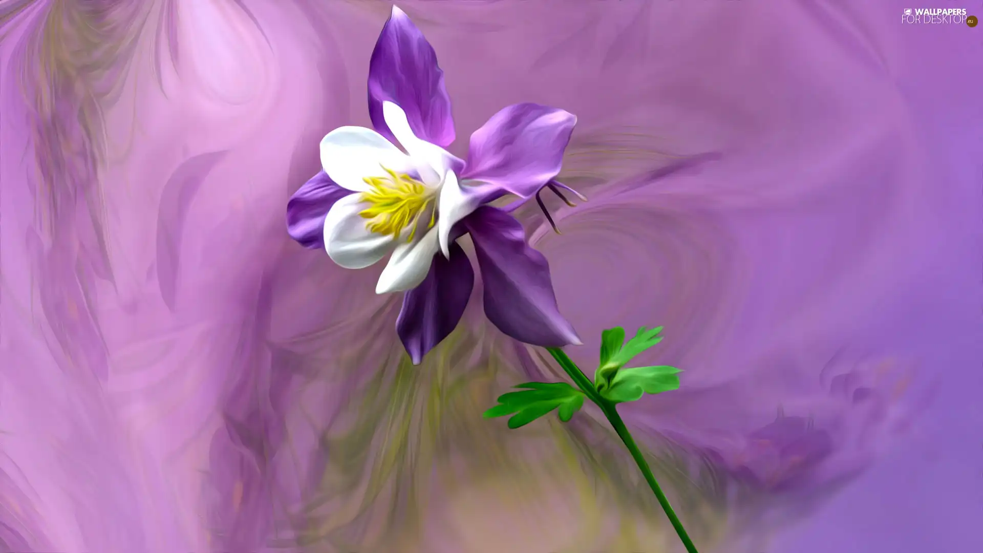 graphics, Colourfull Flowers, Aquilegia Vulgaris