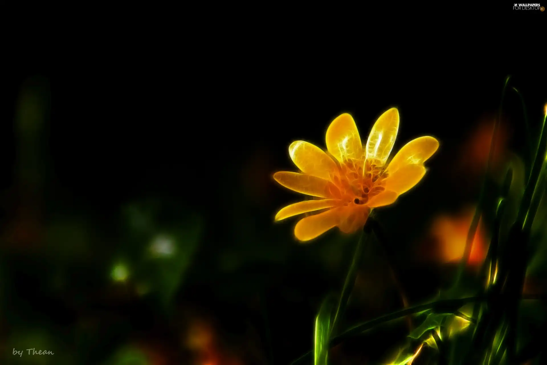 Fractalius, Yellow, Colourfull Flowers