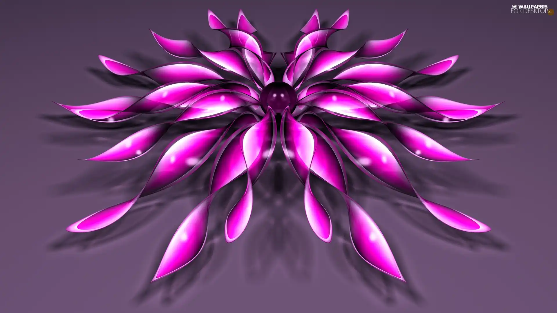 graphics, purple, Colourfull Flowers, 3D