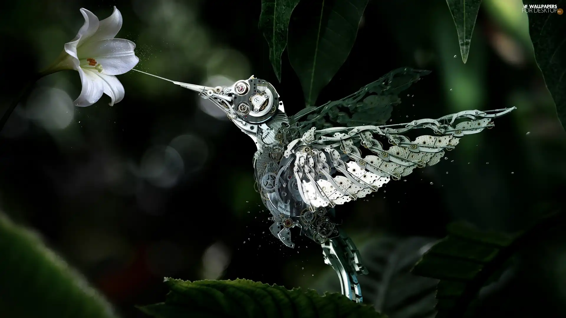 Lily, Steampunk, humming-bird, Colourfull Flowers, fantasy