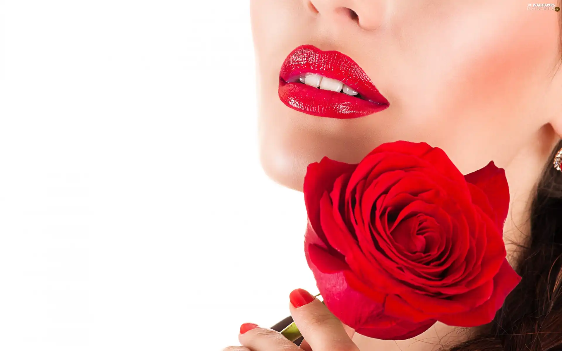 Rose, Women, Colourfull Flowers