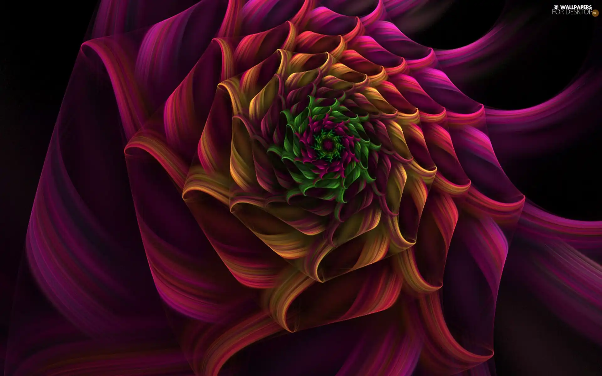 Colourfull Flowers, spiral
