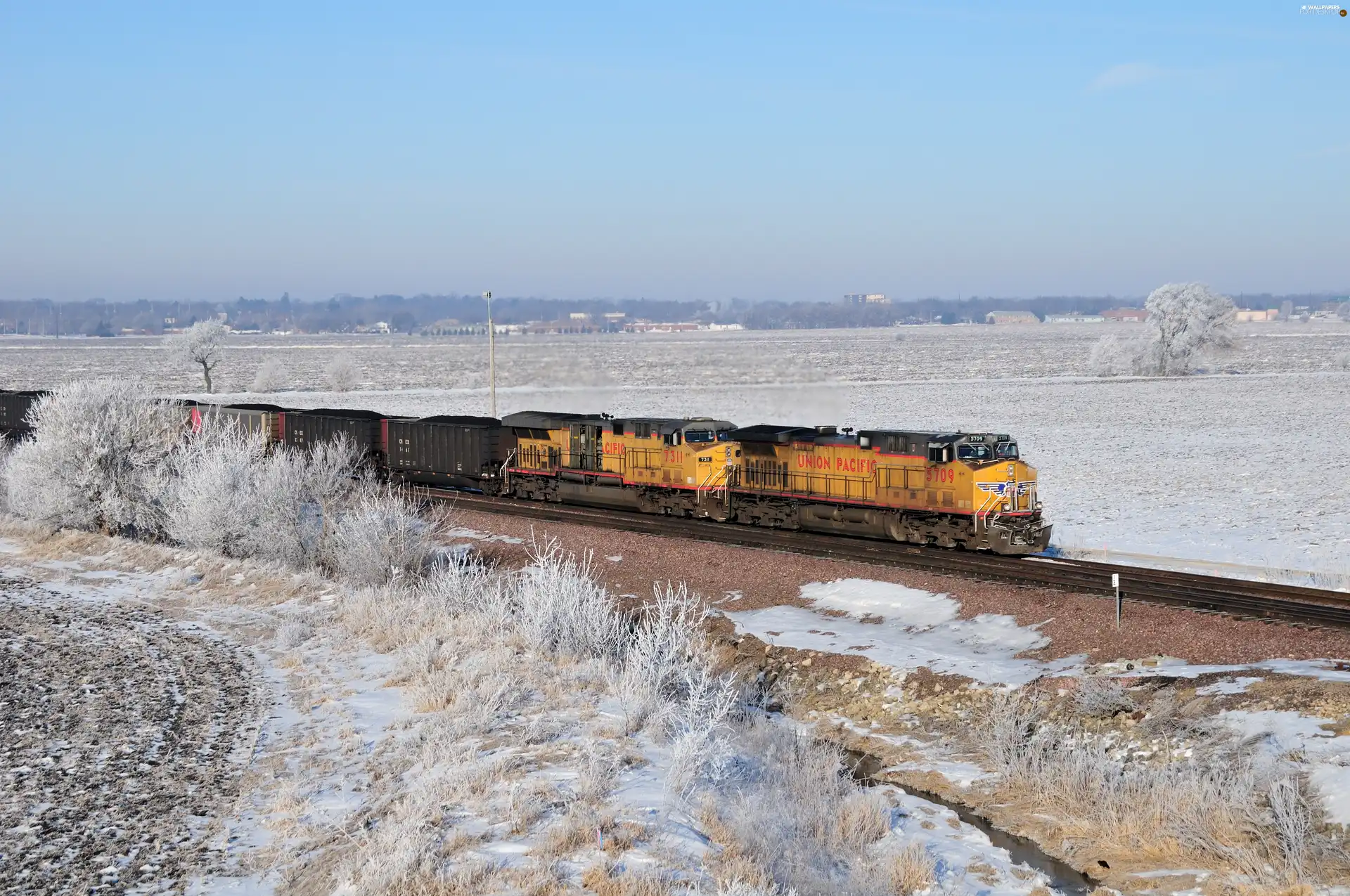 winter, Train, Commodities, snow