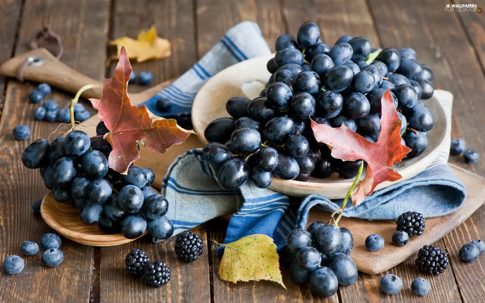 grape, Leaf, composition, blackberries