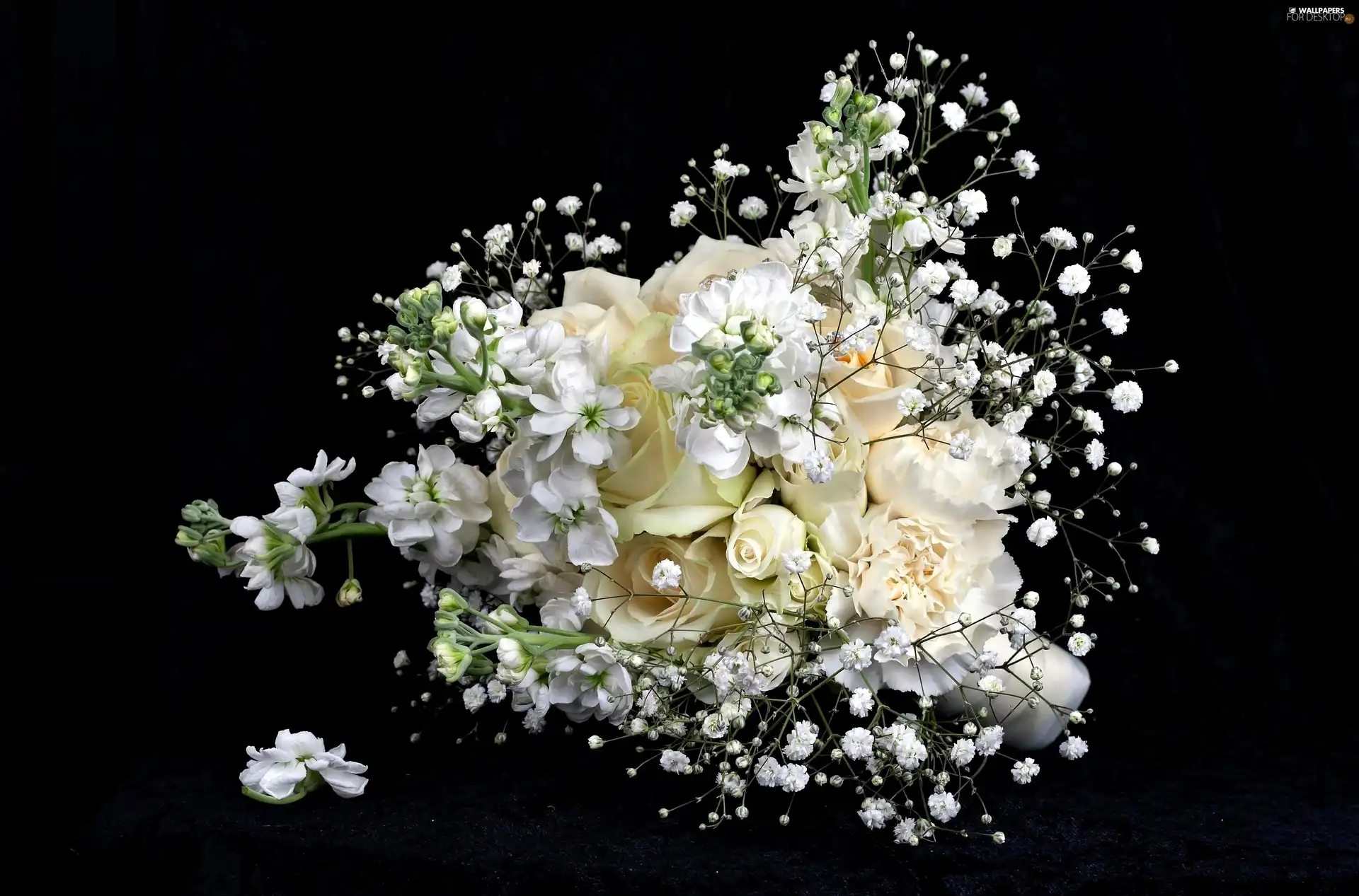White, Gipsówka, composition, roses