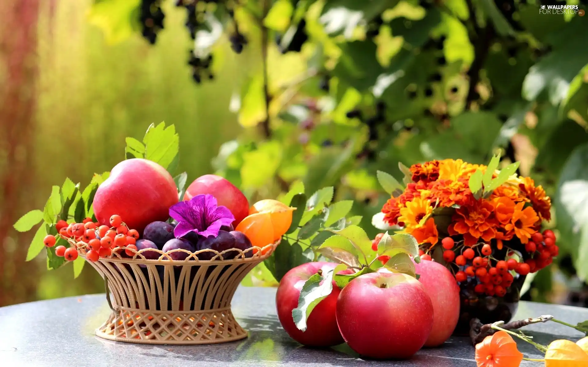 Plant, apples, compositions, basket, Flowers, plums