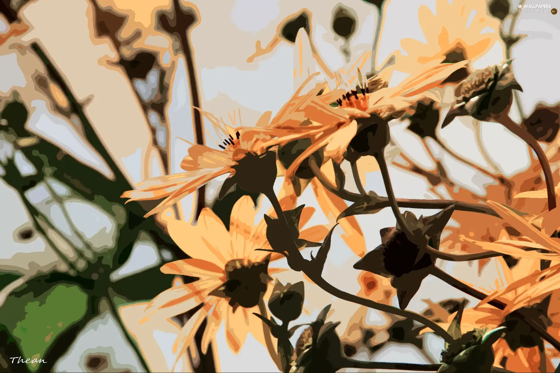 Computer, Flowers, graphics