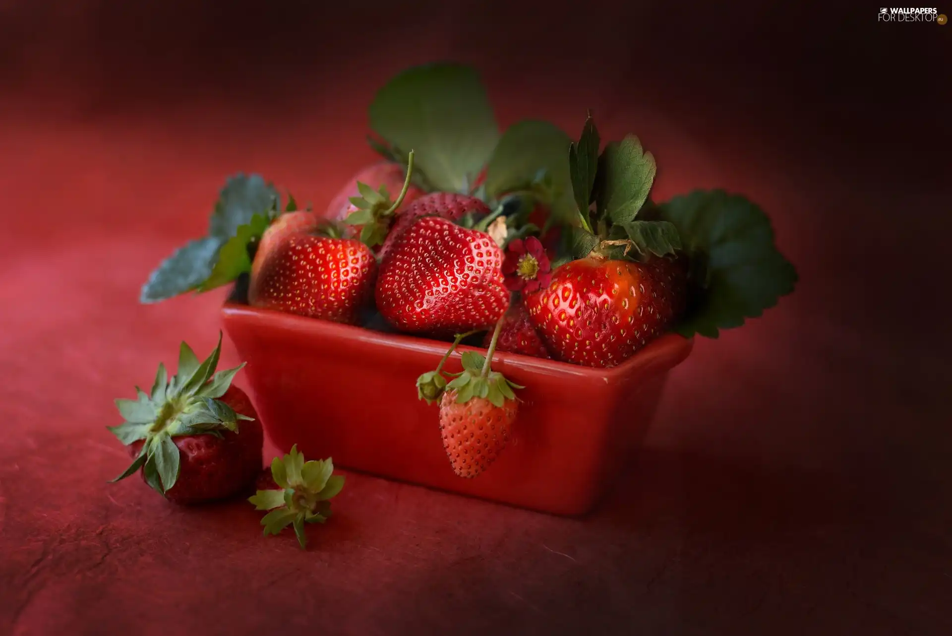 strawberries, Red, container, leaves