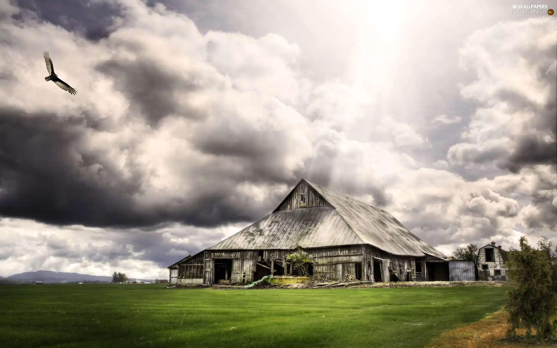 cottage, Bird, clouds