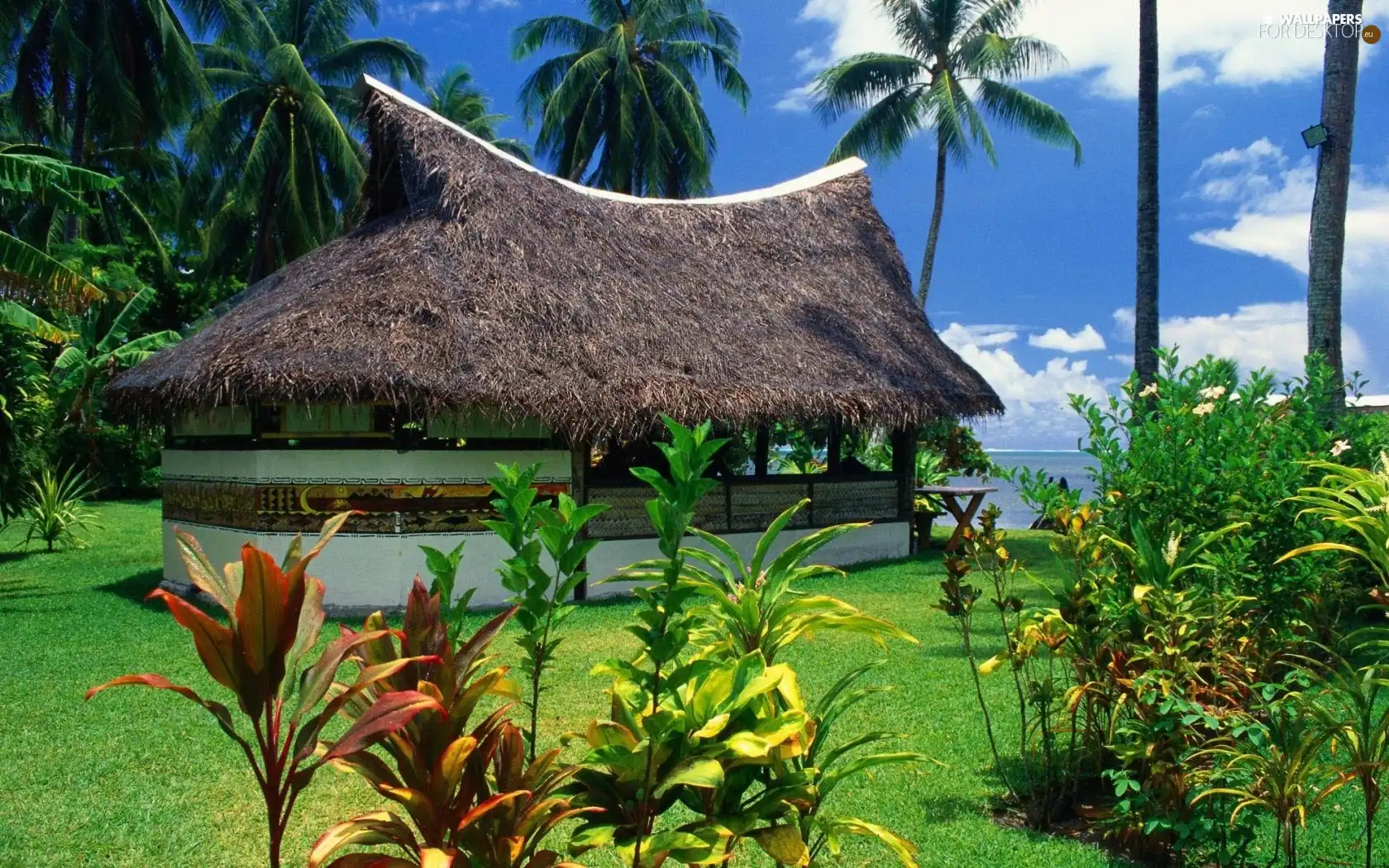 Cottage, Tropical, Palms