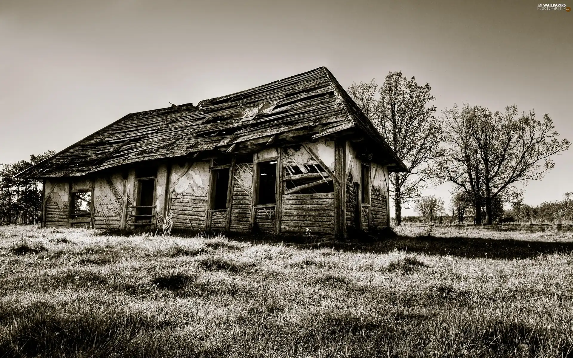 cottage, abandoned, rural