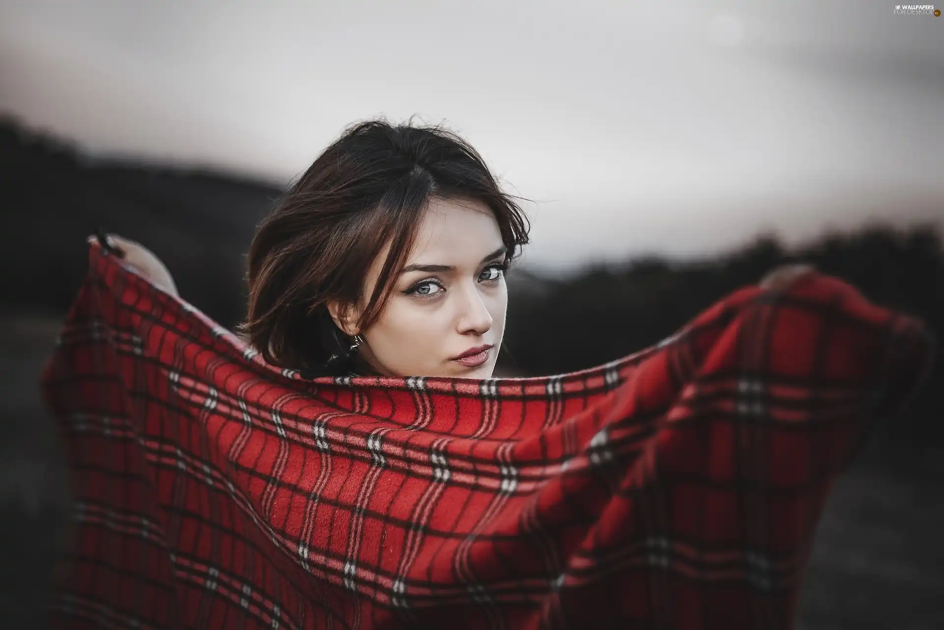 brunette, coverlet