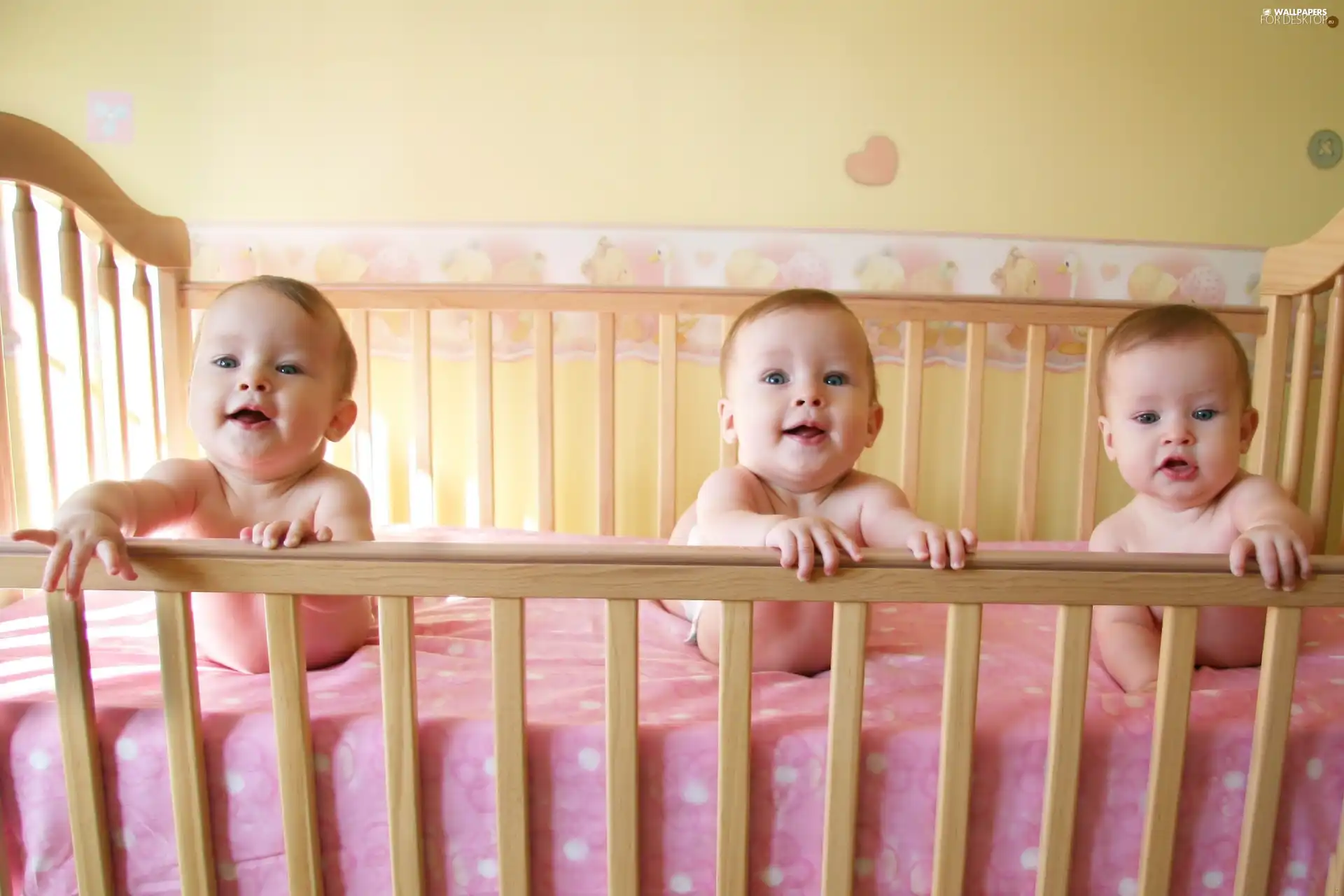 crib, Kids, triplets