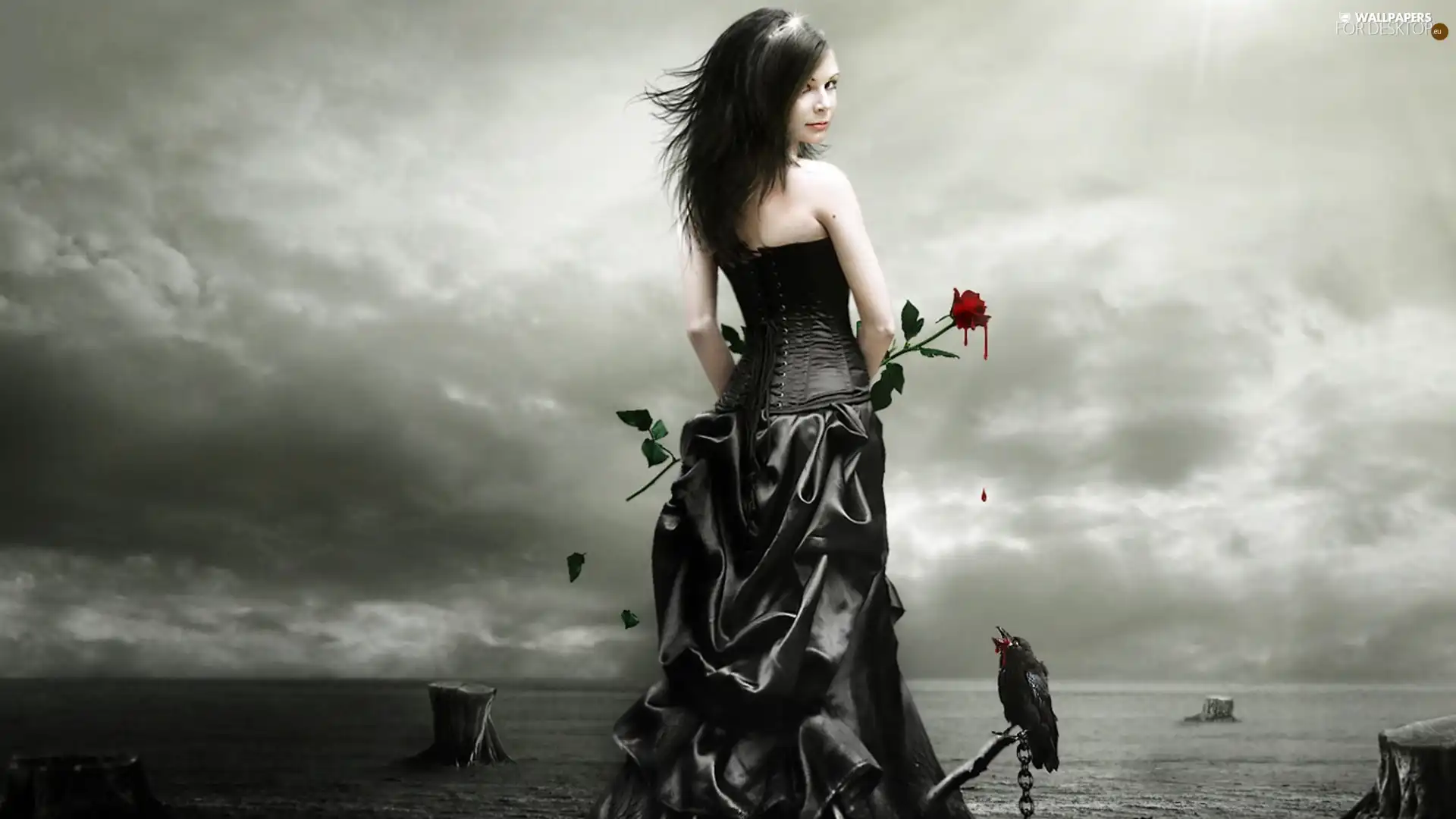 girl, rose, Crow, Blood