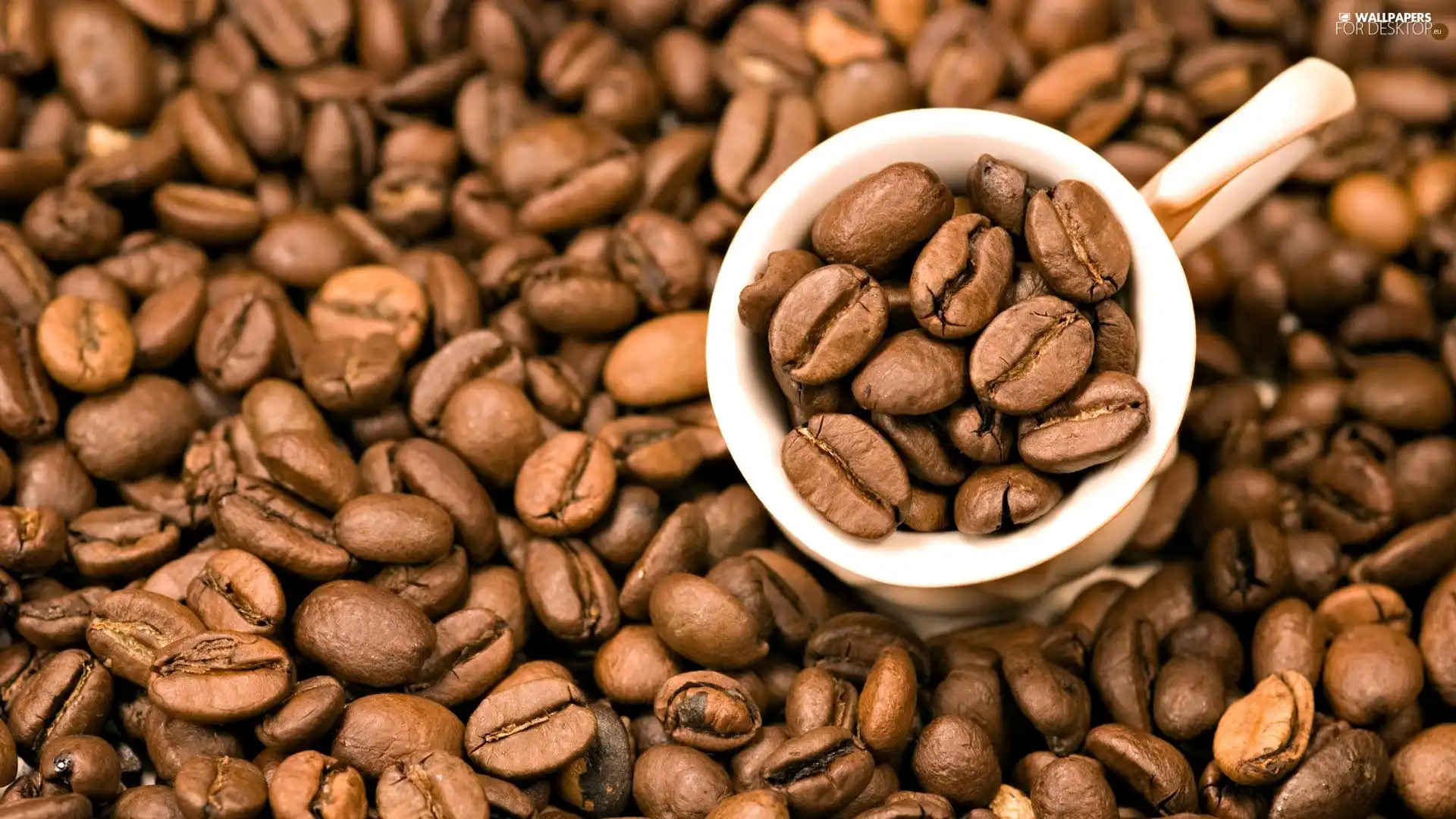 Cup, grains, coffee