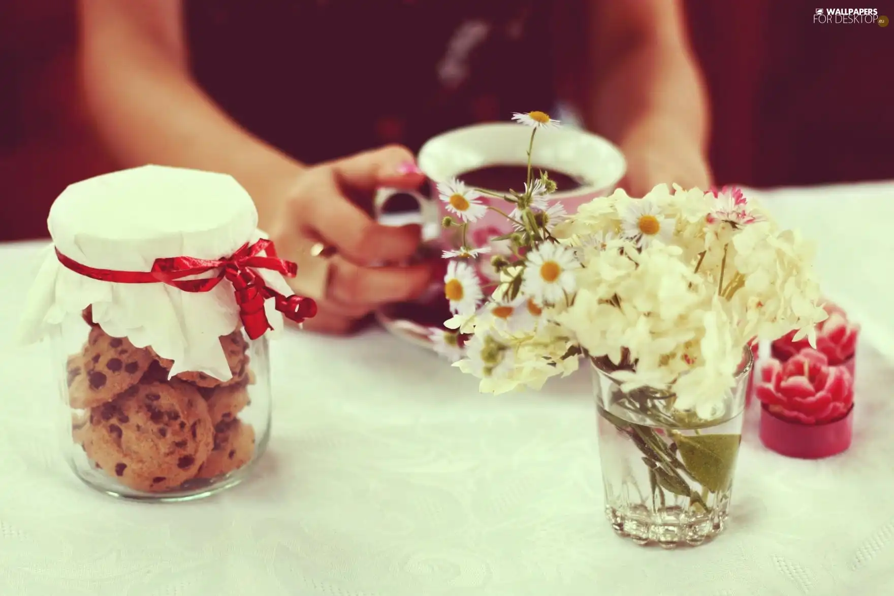 cup, daisies, Cookies
