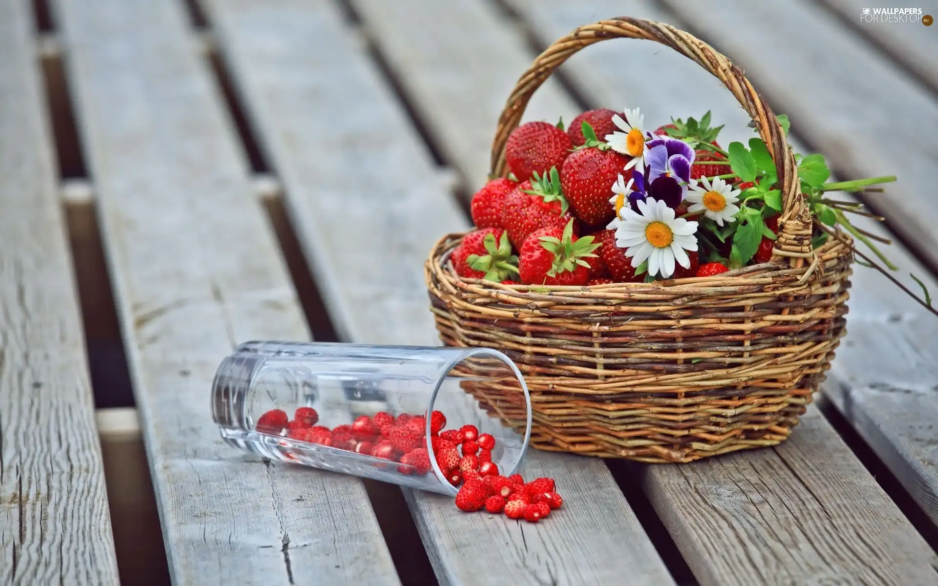 cup, Flowers, strawberries, Strawberries, basket