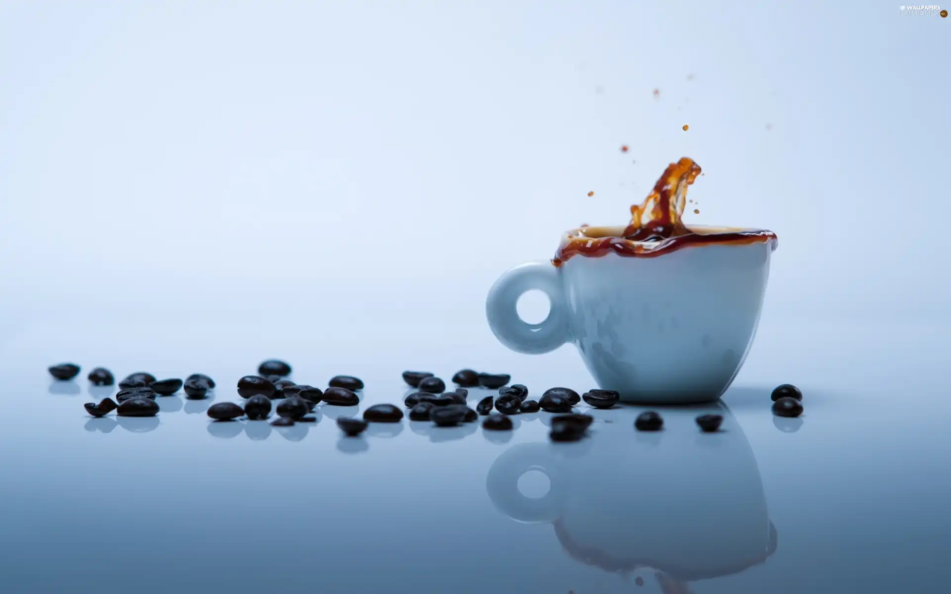 cup, splash, coffee, blue, grains