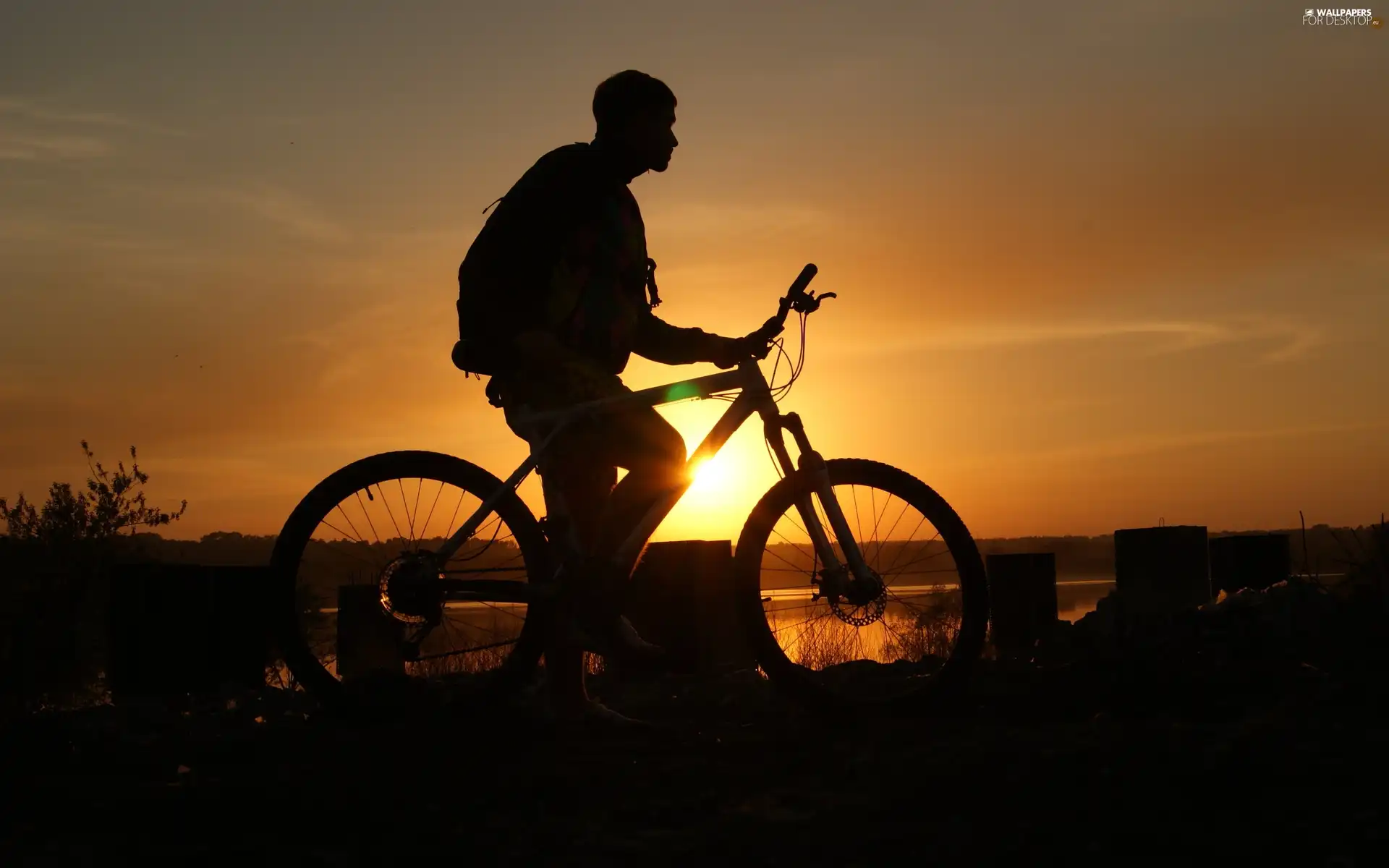 Bike, cyclist