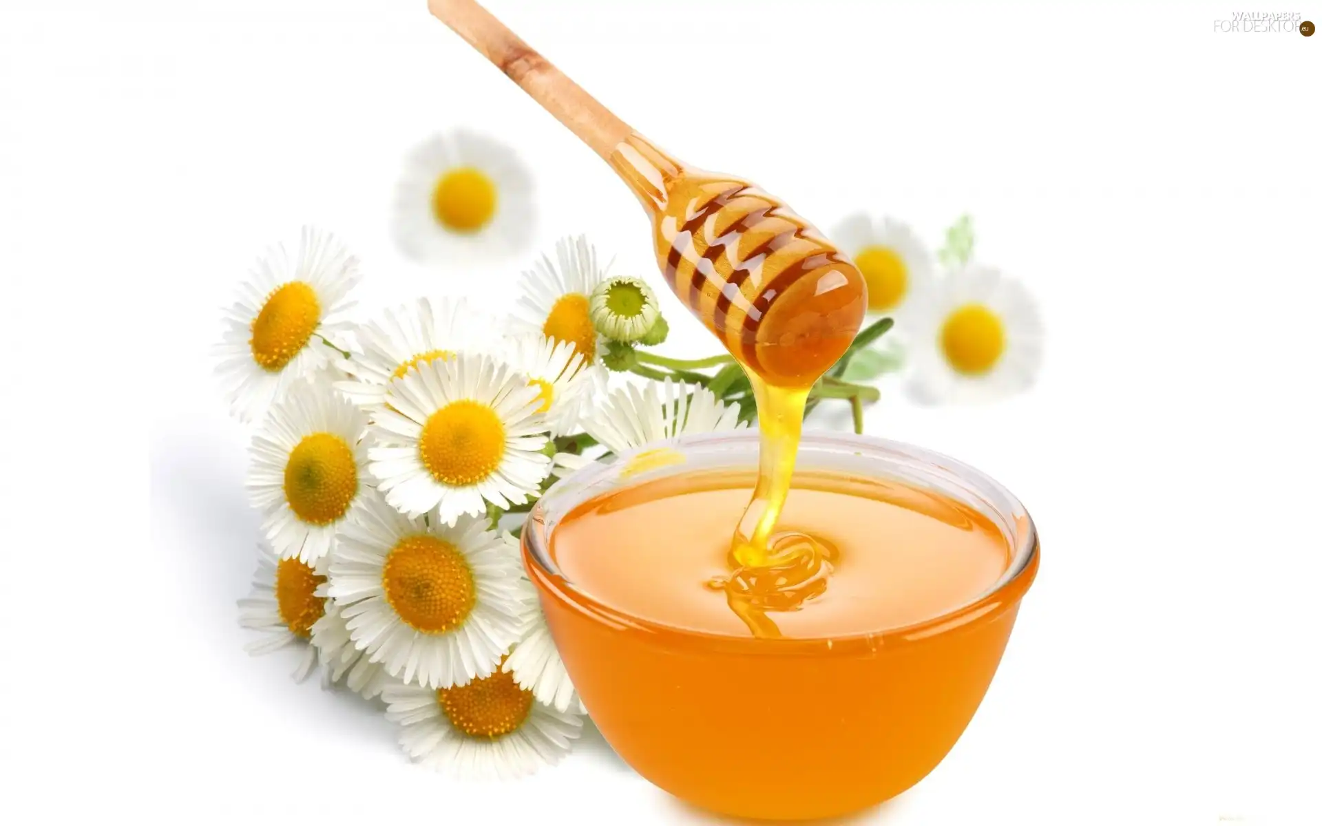 daisies, bowl, honey