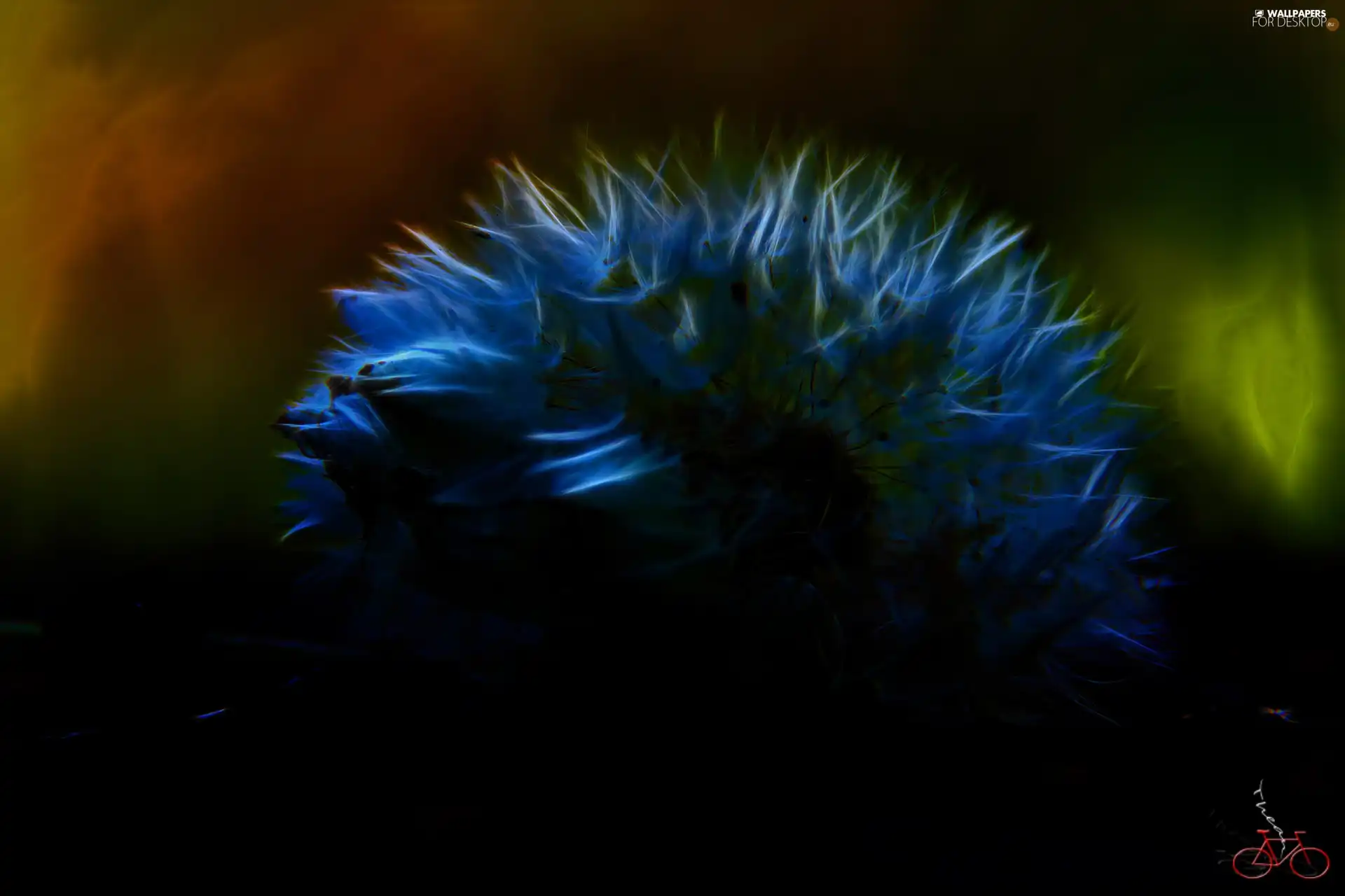 Fractalius, Common Dandelion, dandelion