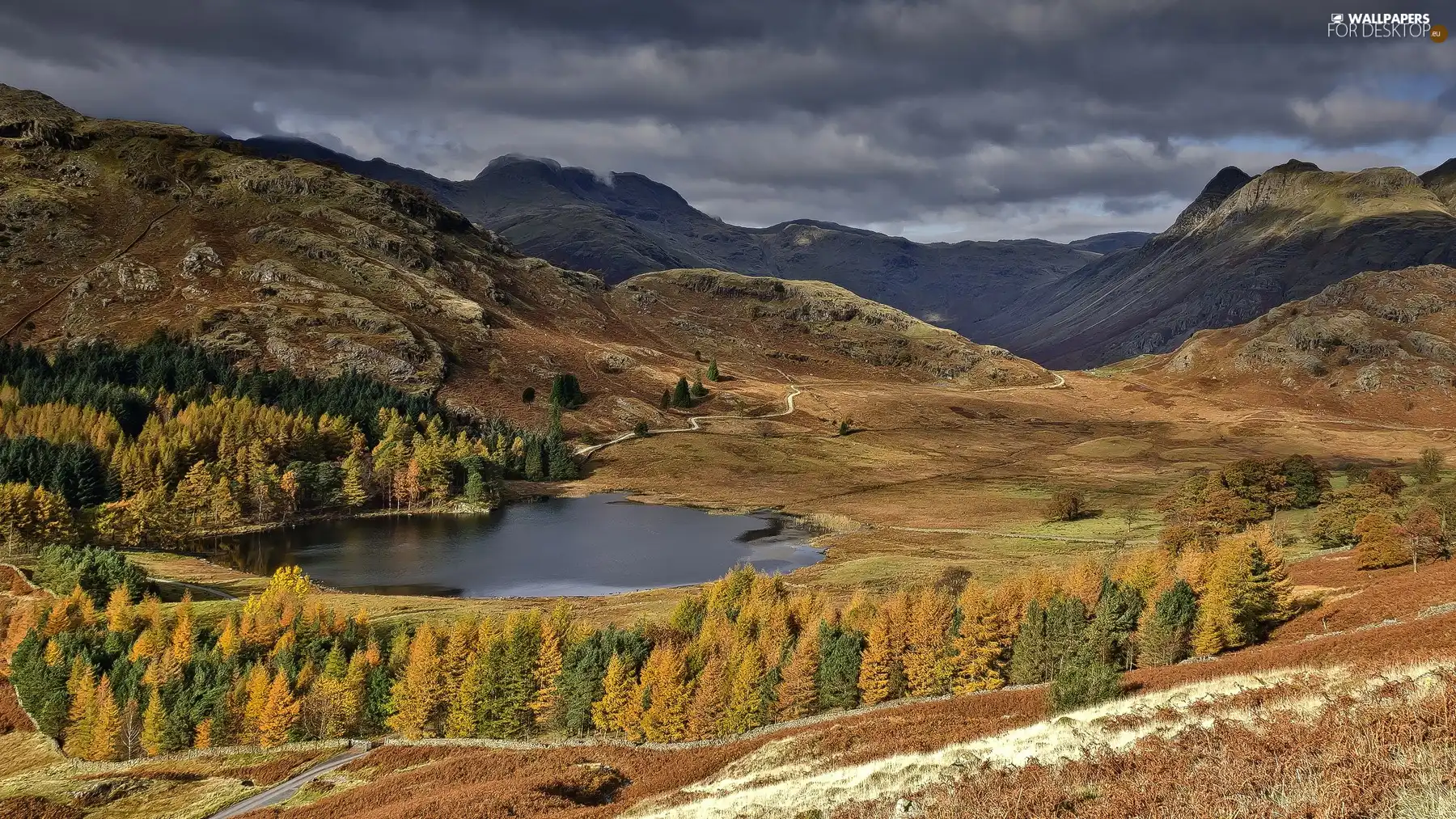 dark, clouds, woods, lake, Mountains