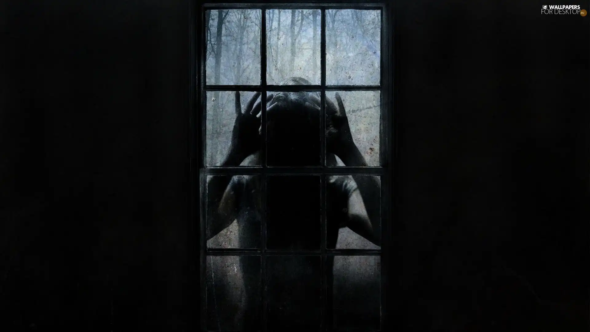 dark, Window, form