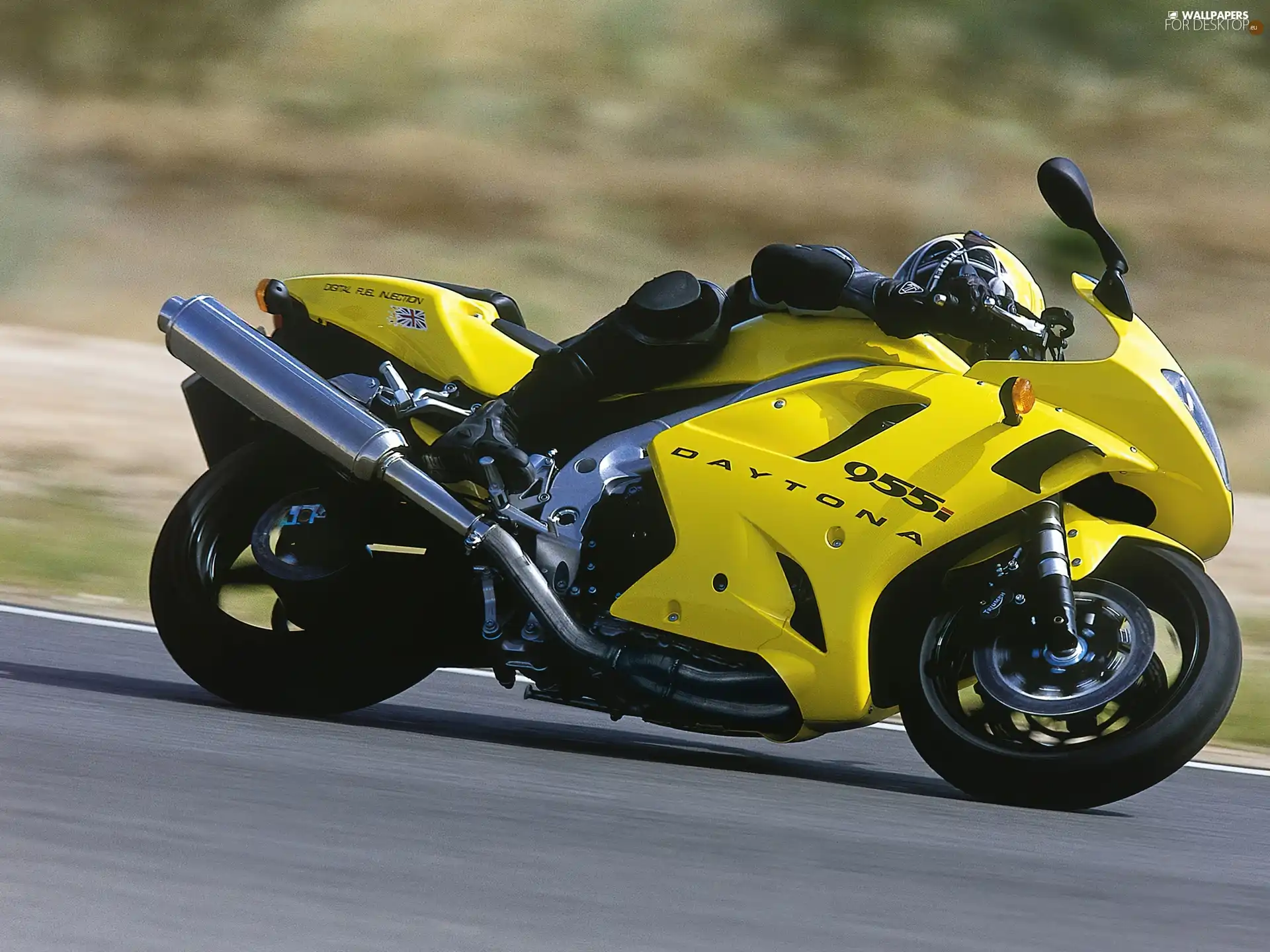 Triumph Daytona 955i