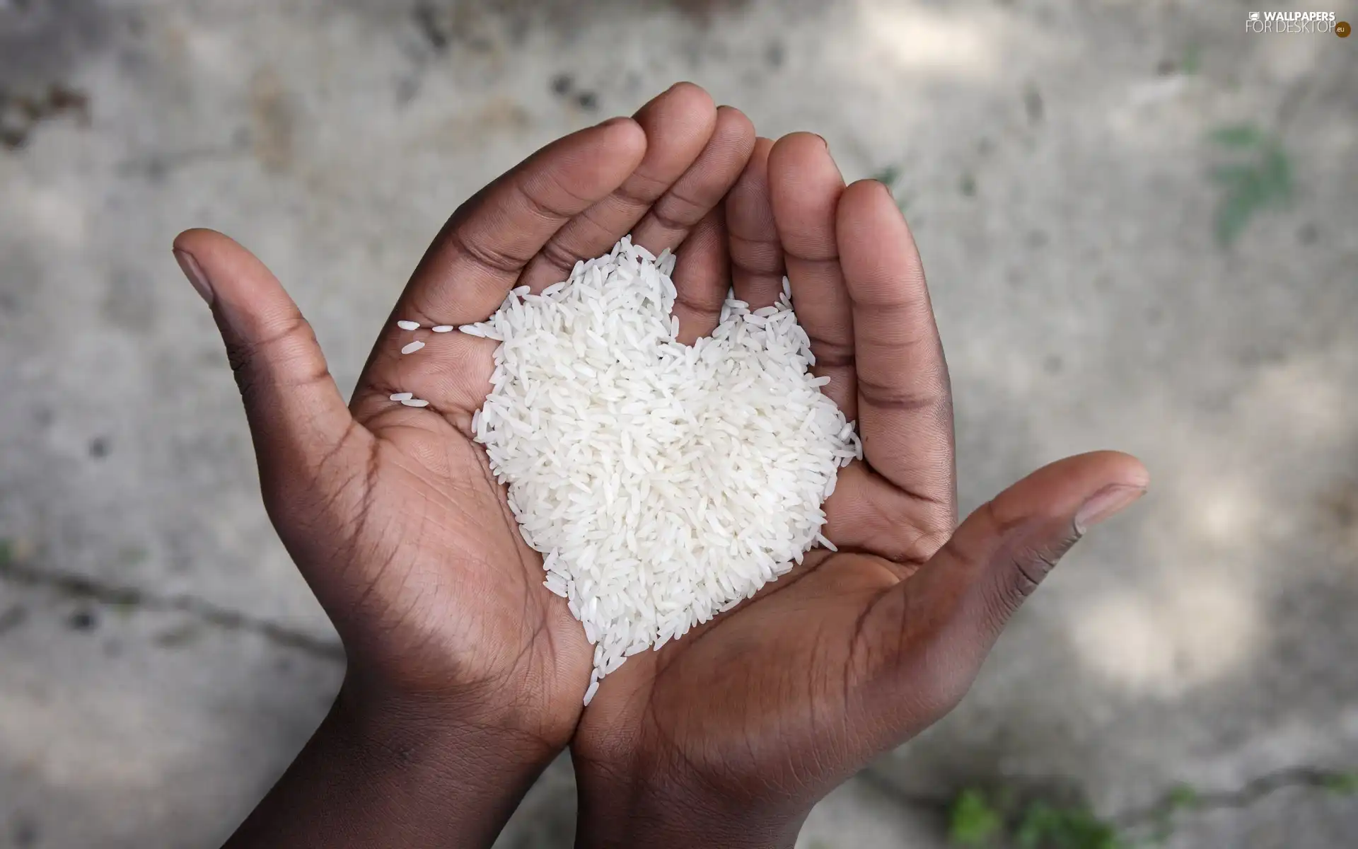 DBZ, rice, White, Heart, hands