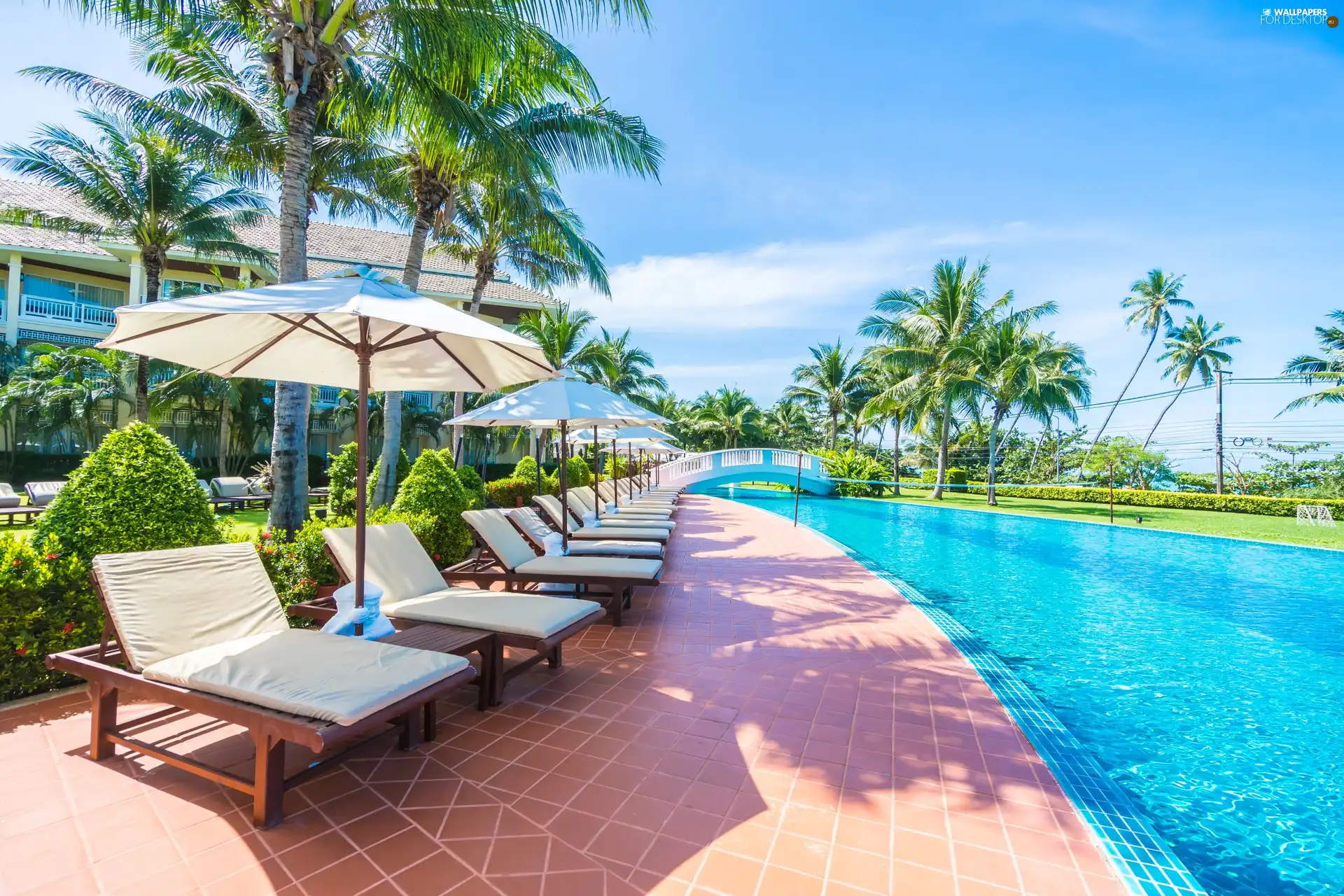 Sunshade, Sky, Palms, deck chair, Pool