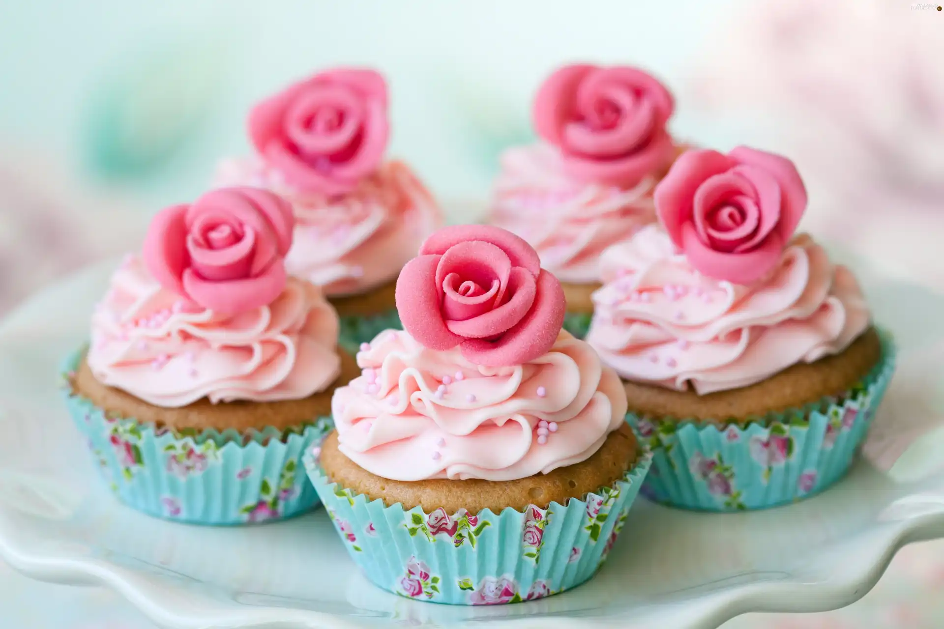 decoration, Muffins, cream