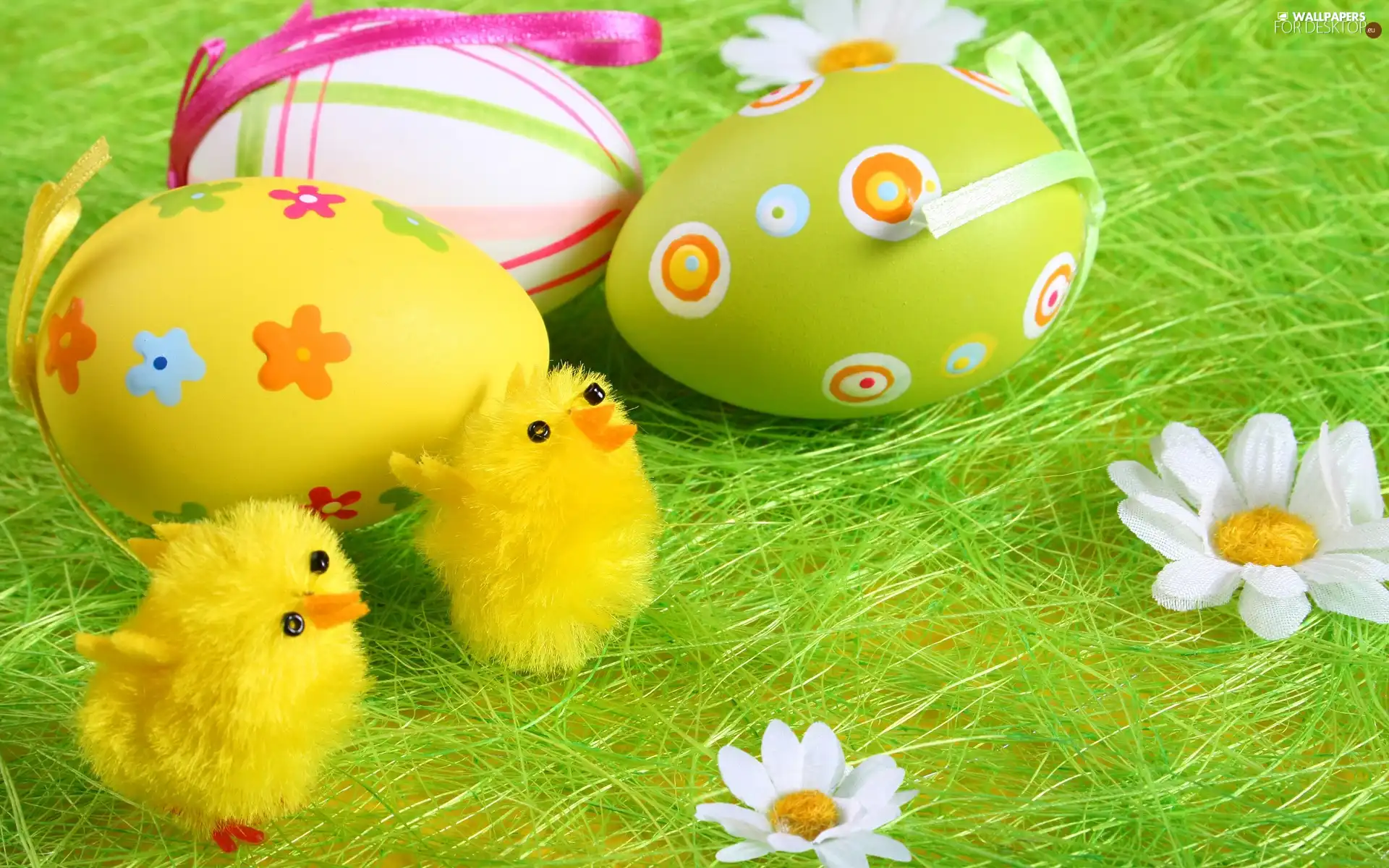 eggs, Flowers, decoration, chickens