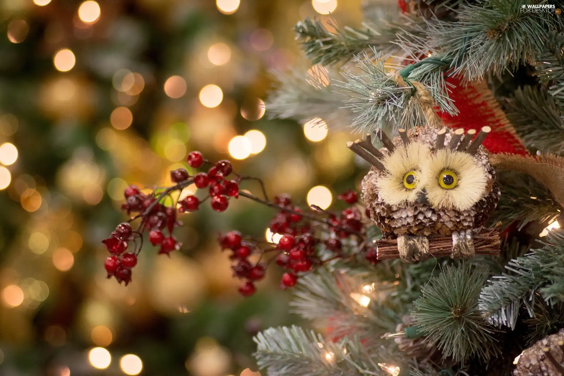 decoration, Park, owl, Plant, trees