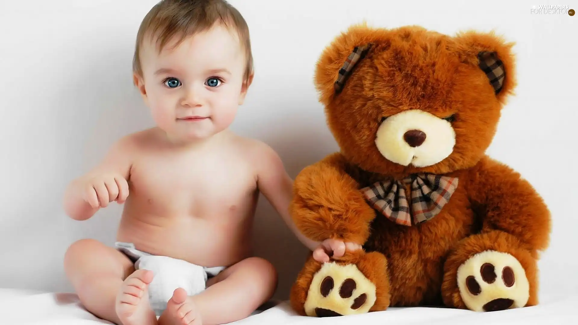 teddy bear, Kid, diaper