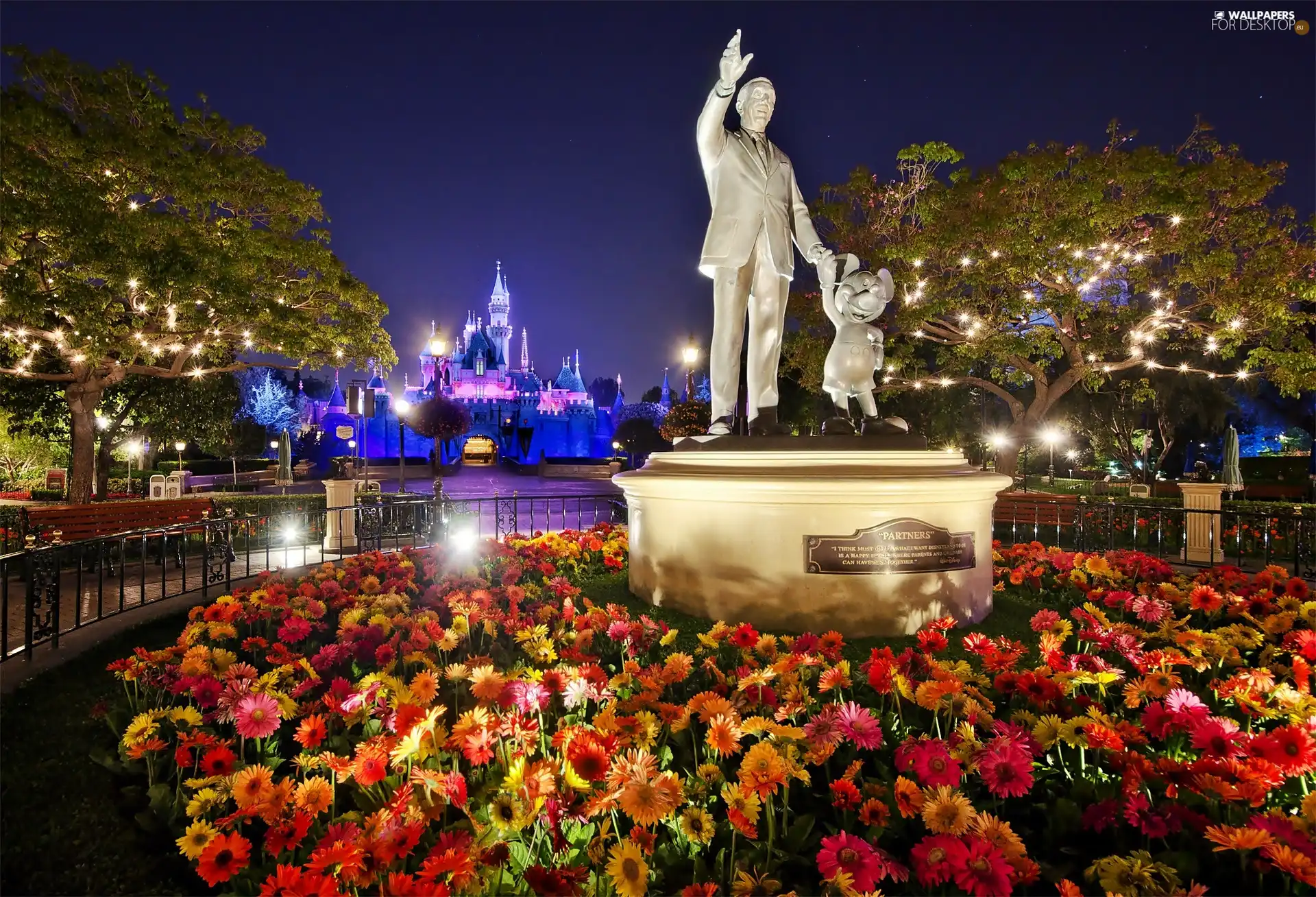 gerberas, North America, City at Night, statues, California, Disneyland