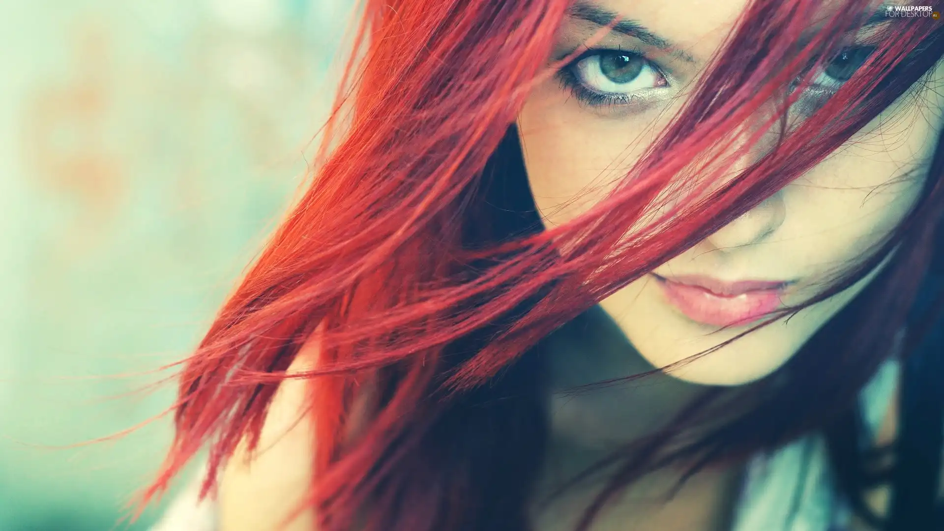 dispelled, Hair, Women, red head, Beauty
