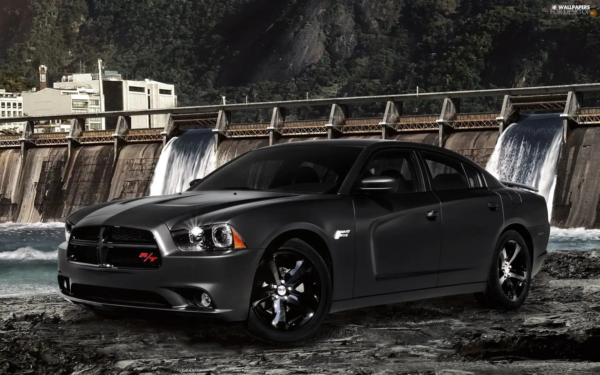 Dodge Challenger, dam