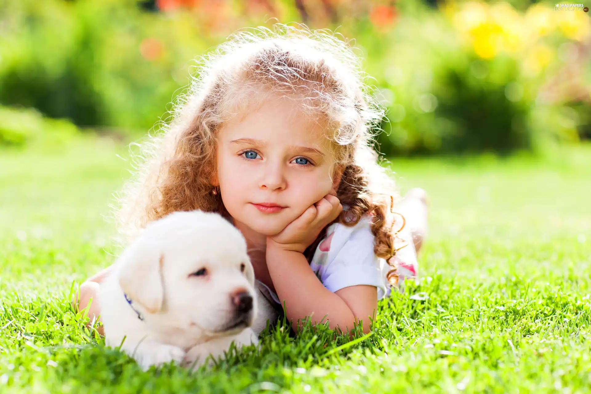 girl, puppie, grass, dog