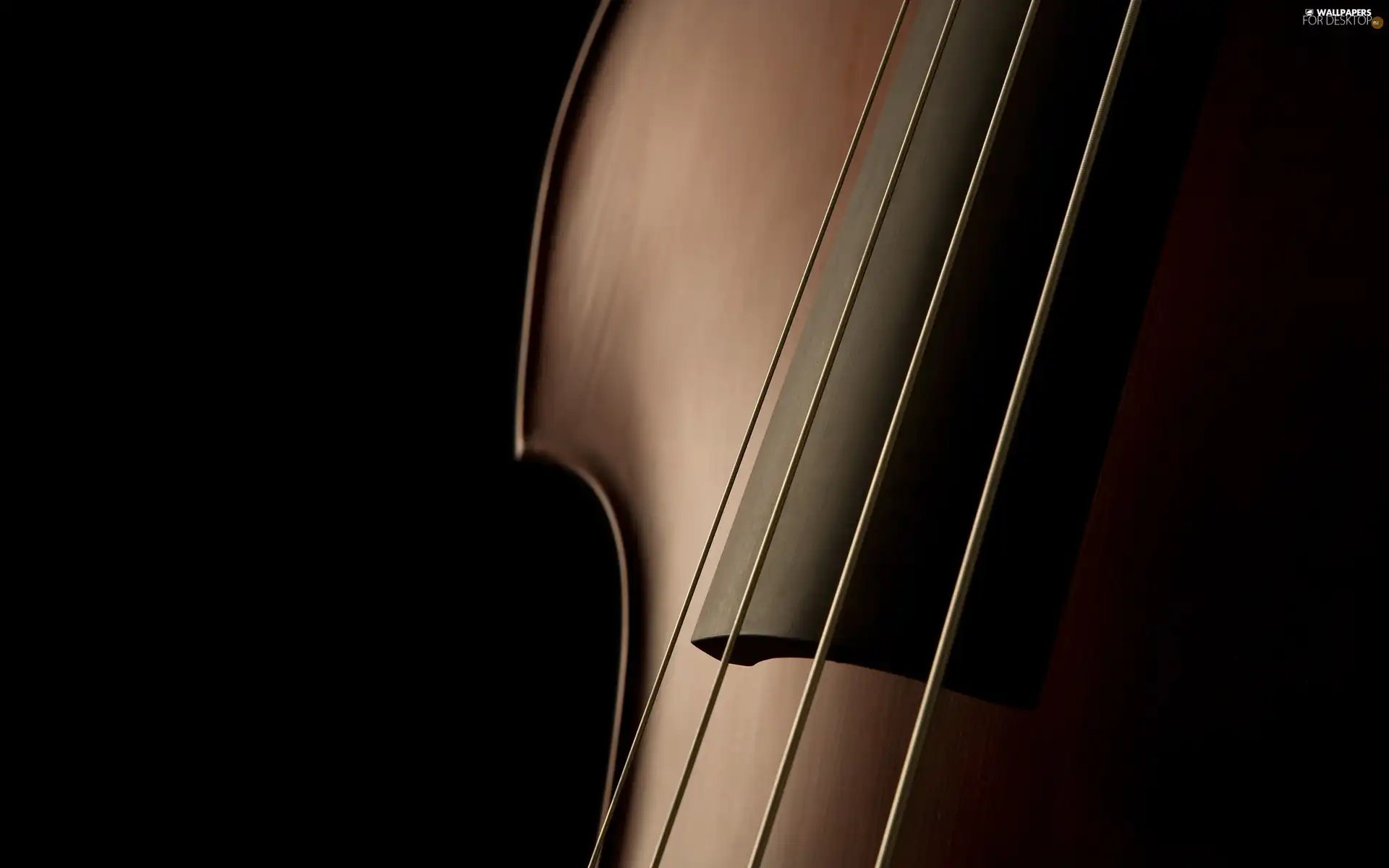 double-bass