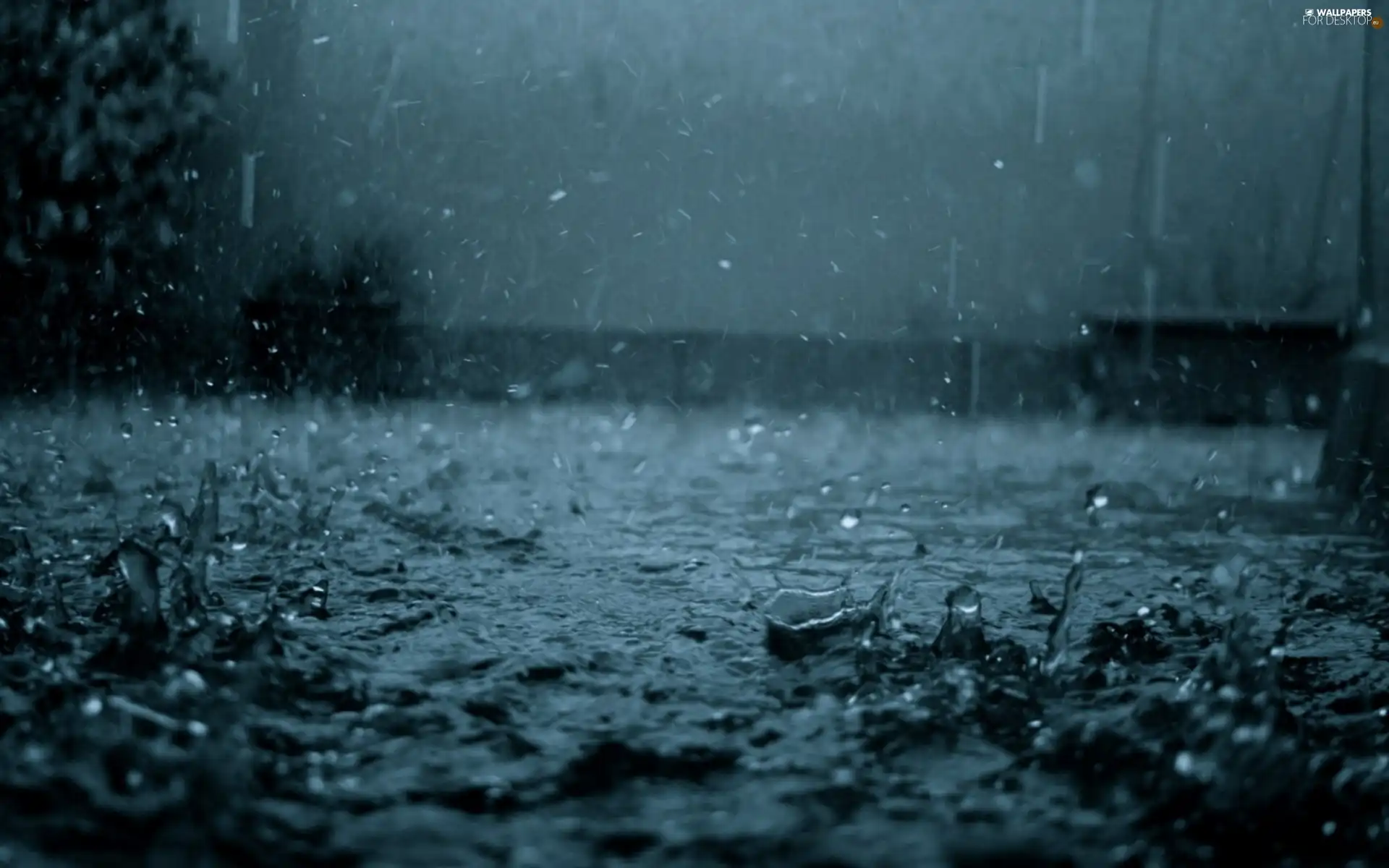 downpour