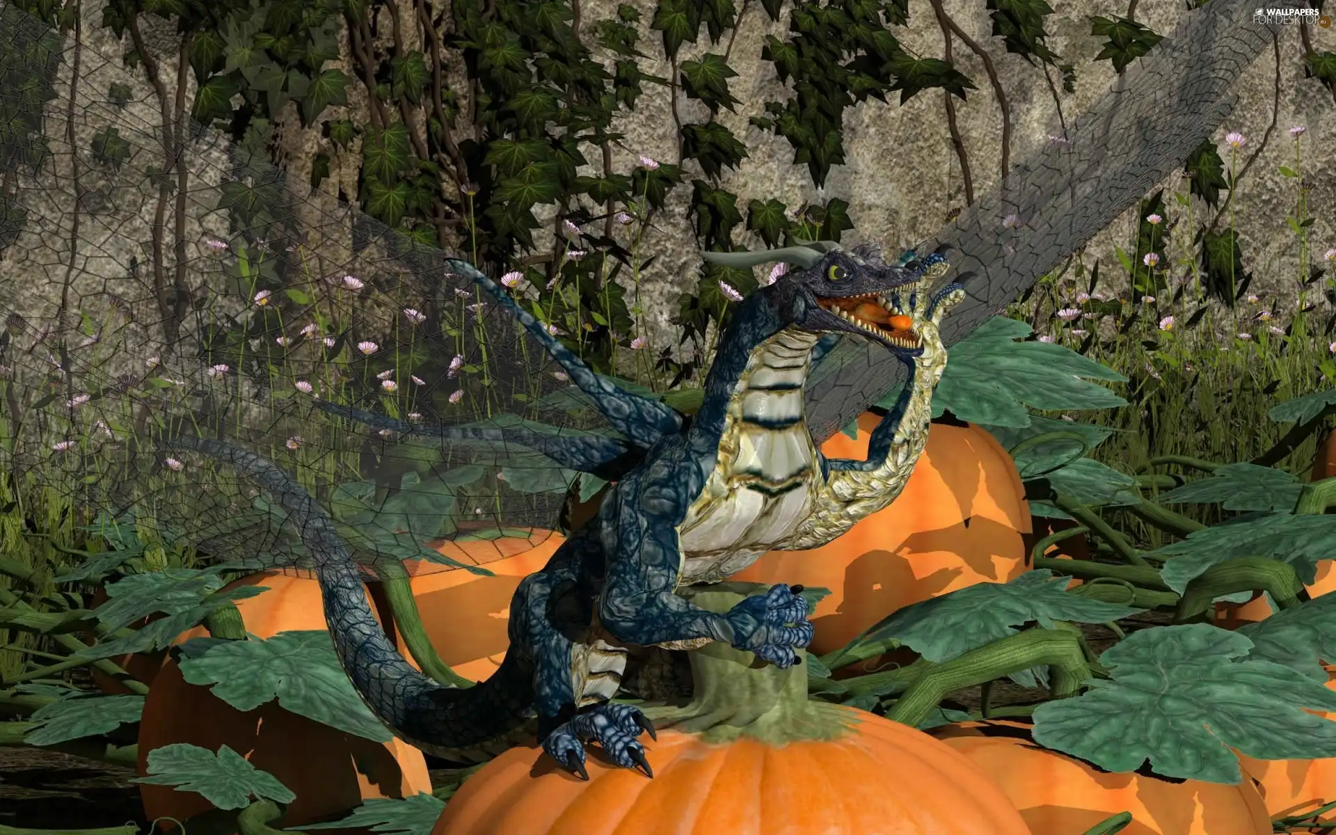 Dragon, pumpkin, halloween