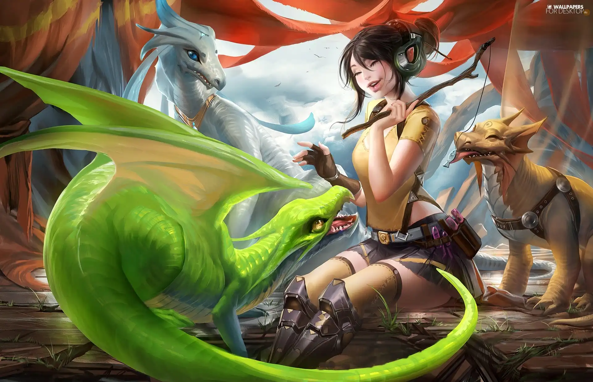 Dragons, graphics, girl