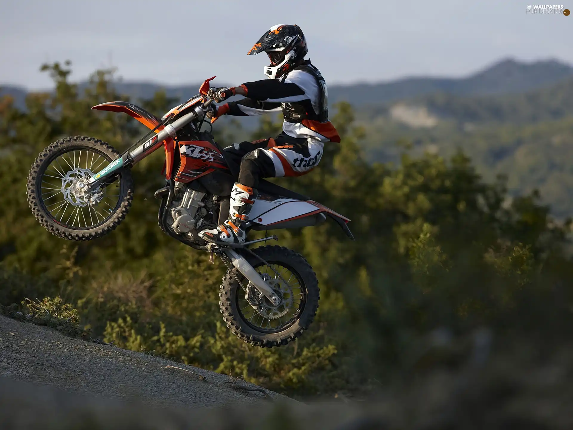 KTM 530 EXC, Drive