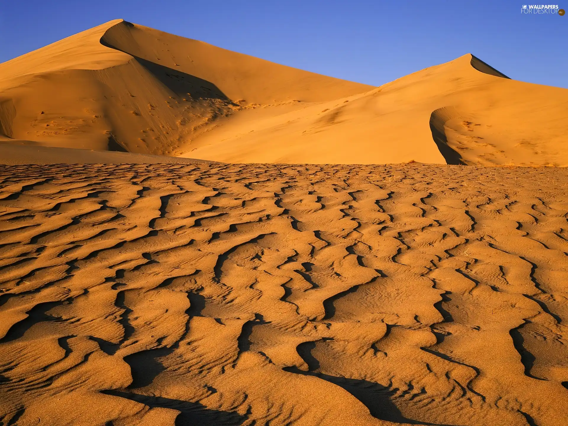 Desert, hot, Dunes, Sand